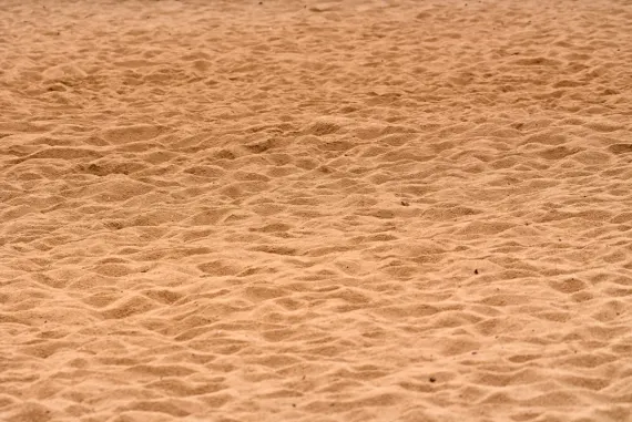 بيغ وينز كازينو الدعم